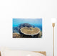 Coral Gardens around Moalboal Wall Decal Design 3