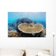 Coral Gardens around Moalboal Wall Decal Design 3