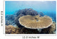 Coral Gardens around Moalboal Wall Decal Design 3