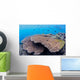 Coral Gardens around Moalboal Wall Decal Design 2