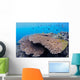 Coral Gardens around Moalboal Wall Decal Design 2