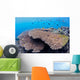 Coral Gardens around Moalboal Wall Decal Design 2