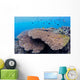 Coral Gardens around Moalboal Wall Decal Design 2