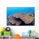 Coral Gardens around Moalboal Wall Decal Design 2