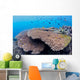 Coral Gardens around Moalboal Wall Decal Design 2
