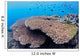 Coral Gardens around Moalboal Wall Decal Design 2