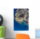 Coral Gardens around Moalboal Wall Decal Design 1