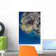 Coral Gardens around Moalboal Wall Decal Design 1