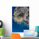 Coral Gardens around Moalboal Wall Decal Design 1