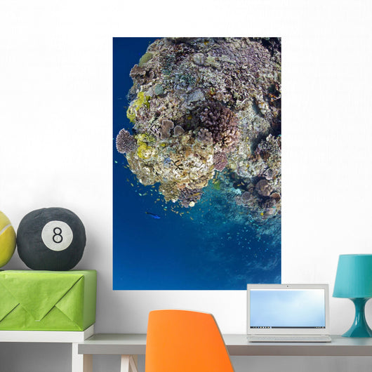 Coral Gardens around Moalboal Wall Decal Design 1