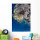 Coral Gardens around Moalboal Wall Decal Design 1