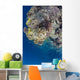 Coral Gardens around Moalboal Wall Decal Design 1