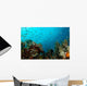 Corals and Fish Philippines Wall Decal
