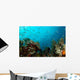 Corals and Fish Philippines Wall Decal