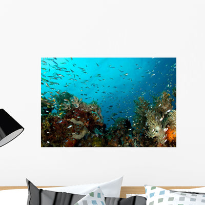 Corals and Fish Philippines Wall Decal shown on a wall
