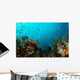 Corals and Fish Philippines Wall Decal