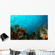 Corals and Fish Philippines Wall Decal