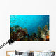 Corals and Fish Philippines Wall Decal
