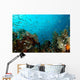 Corals and Fish Philippines Wall Decal