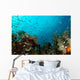 Corals and Fish Philippines Wall Decal