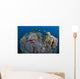 Coral Reefs Siaton Philippines Wall Decal