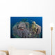 Coral Reefs Siaton Philippines Wall Decal