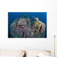 Coral Reefs Siaton Philippines Wall Decal