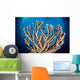 Coral Reef Siaton Philippines Wall Decal Design 7
