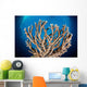 Coral Reef Siaton Philippines Wall Decal Design 7