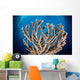Coral Reef Siaton Philippines Wall Decal Design 7
