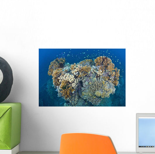 Coral Reef Siaton Philippines Wall Decal Design 6