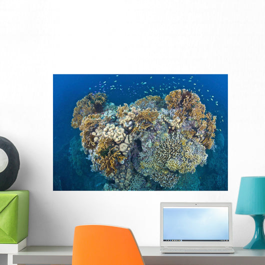 Coral Reef Siaton Philippines Wall Decal Design 6