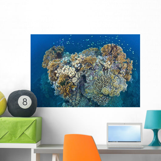 Coral Reef Siaton Philippines Wall Decal Design 6