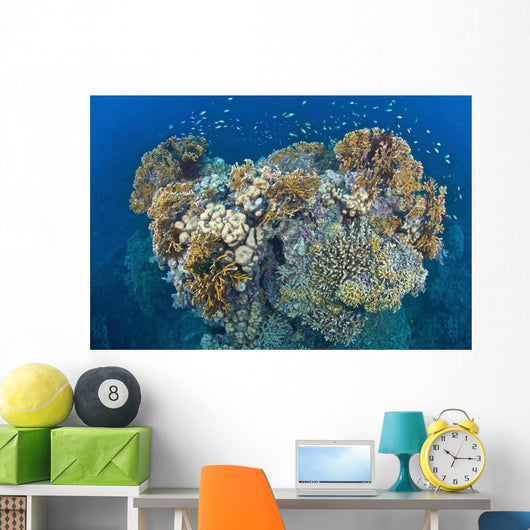 Coral Reef Siaton Philippines Wall Decal Design 6