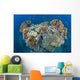 Coral Reef Siaton Philippines Wall Decal Design 6