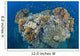 Coral Reef Siaton Philippines Wall Decal Design 6