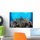 Coral Reef Siaton Philippines Wall Decal Design 5