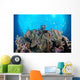 Coral Reef Siaton Philippines Wall Decal Design 5