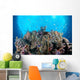 Coral Reef Siaton Philippines Wall Decal Design 5