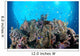 Coral Reef Siaton Philippines Wall Decal Design 5