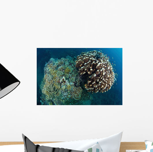 Coral Reef Siaton Philippines Wall Decal Design 4