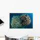 Coral Reef Siaton Philippines Wall Decal Design 4
