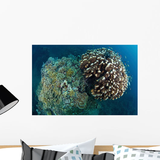 Coral Reef Siaton Philippines Wall Decal Design 4