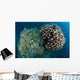 Coral Reef Siaton Philippines Wall Decal Design 4
