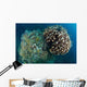 Coral Reef Siaton Philippines Wall Decal Design 4
