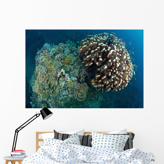 Coral Reef Siaton Philippines Wall Decal Design 4