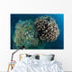 Coral Reef Siaton Philippines Wall Decal Design 4