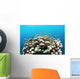 Coral Reef Siaton Philippines Wall Decal Design 3