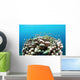 Coral Reef Siaton Philippines Wall Decal Design 3