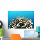 Coral Reef Siaton Philippines Wall Decal Design 3